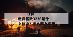 
       社保缴费基数3236是什么档次？怎么网上缴费？
     