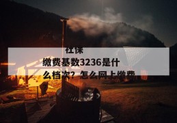 
       社保缴费基数3236是什么档次？怎么网上缴费？
     