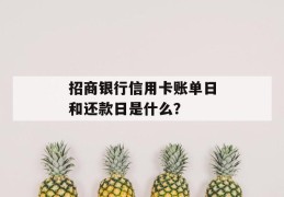 平安银行信用卡可用额度是负数是什么意思