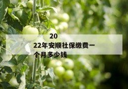 
       2022年安顺社保缴费一个月多少钱
     