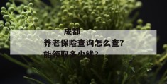 
       成都养老保险查询怎么查？能领取多少钱？
     