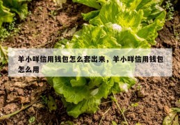 羊小咩信用钱包怎么套出来，羊小咩信用钱包怎么用