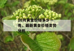 10月黄金价格多少一克，最新黄金价格走势分析