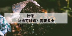 
       社保补缴可以吗？需要多少钱？
     