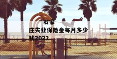 
       石家庄失业保险金每月多少钱2022
     