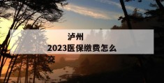 
       泸州2023医保缴费怎么交
     