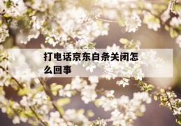 打电话京东白条关闭怎么回事