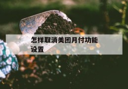 怎样取消美团月付功能设置