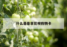 什么是豪享花呗购物卡