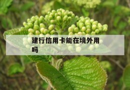 建行信用卡能在境外用吗