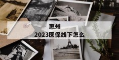 
       惠州2023医保线下怎么缴费
     