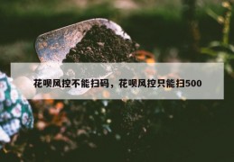 花呗风控不能扫码，花呗风控只能扫500