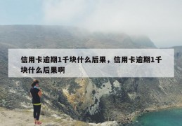 信用卡逾期1千块什么后果，信用卡逾期1千块什么后果啊