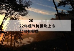 
       2022年暖气片板块上市公司有哪些
     