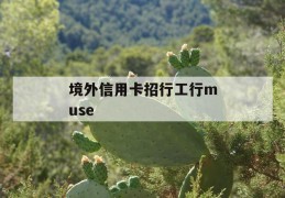 境外信用卡招行工行muse