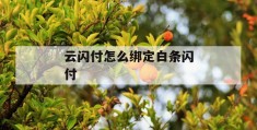 云闪付怎么绑定白条闪付