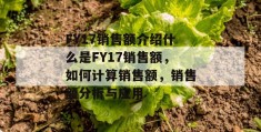 fy17销售额介绍什么是fy17销售额，如何计算销售额，销售额分析与应用