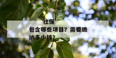 
       社保包含哪些项目？需要缴纳多少钱？
     