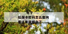 
       电子社保卡密码怎么查询 看这里就明白了
     