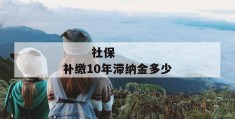 
       社保补缴10年滞纳金多少
     