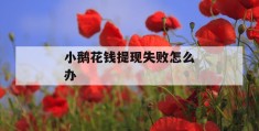 小鹅花钱提现失败怎么办