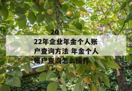 
       2022年企业年金个人账户查询方法 年金个人账户查询怎么操作
     