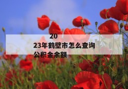 
       2023年鹤壁市怎么查询公积金余额
     