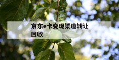 京东e卡变现渠道转让回收