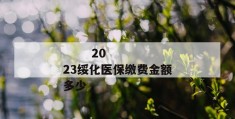 
       2023绥化医保缴费金额多少
     