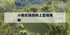 小鹅花钱找网上套现被骗