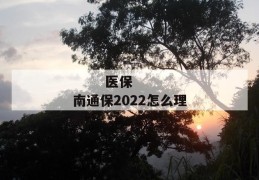 
       医保南通保2022怎么理赔？
     