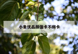 小象优品颜值卡不绑卡