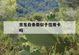 京东白条类似于信用卡吗