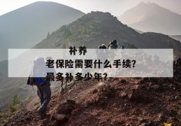 
       补养老保险需要什么手续？最多补多少年？
     