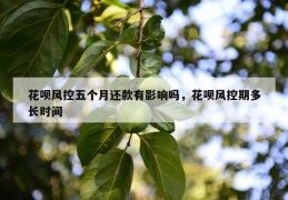 花呗风控五个月还款有影响吗，花呗风控期多长时间