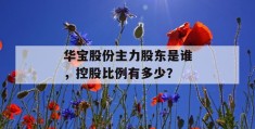 华宝股份主力股东是谁，控股比例有多少？