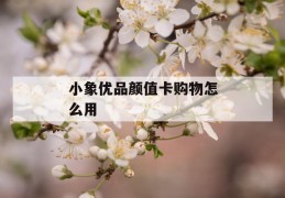 小象优品颜值卡购物怎么用