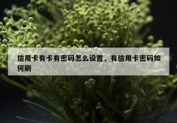 信用卡有卡有密码怎么设置，有信用卡密码如何刷