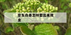 京东白条怎样套出来现金