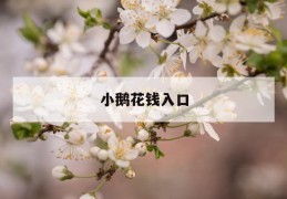 小鹅花钱入口