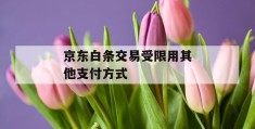 京东白条交易受限用其他凯发天生赢家一触即发官网的支付方式