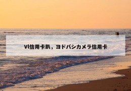 vl信用卡趴，ヨドバシカメラ信用卡