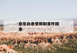 京东白条受限制是咋回事