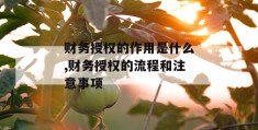 财务授权的作用是什么,财务授权的流程和注意事项