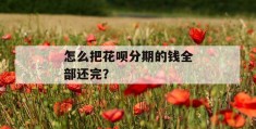 怎么把花呗分期的钱全部还完？