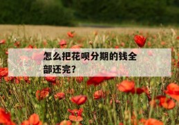 怎么把花呗分期的钱全部还完？