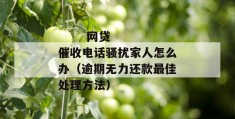 
       网贷催收电话骚扰家人怎么办（逾期无力还款最佳处理方法）
     