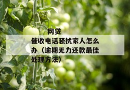 
       网贷催收电话骚扰家人怎么办（逾期无力还款最佳处理方法）
     