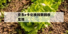 京东e卡兑换钱数回收变现