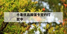 小象优品颜值卡签约打款中